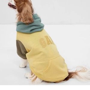 Gap dog hoodie XL